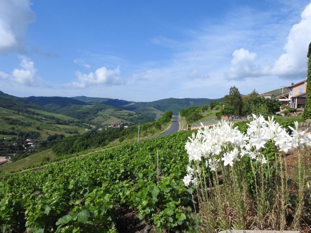 Domaine Des Gardette Hotel Vaux-en-Beaujolais Luaran gambar